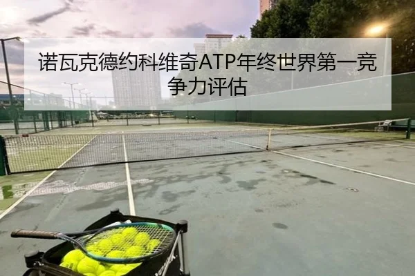 诺瓦克德约科维奇ATP年终世界第一竞争力评估
